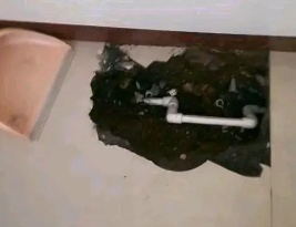 务川仡卫生间测漏水多少钱